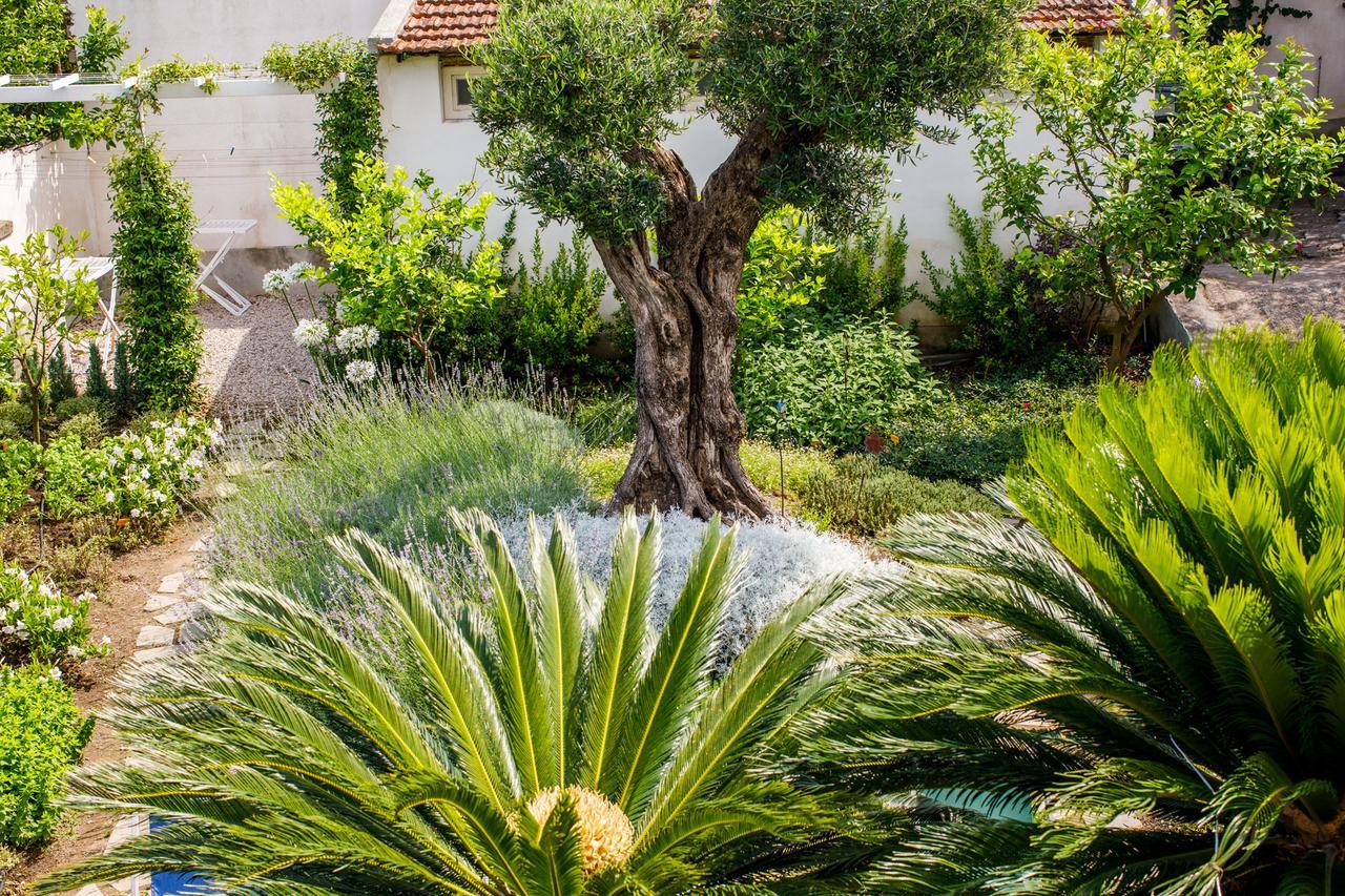 Reggine Holiday Apartments Sant'Agnello Εξωτερικό φωτογραφία